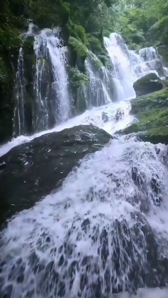 沙漠中寻宝