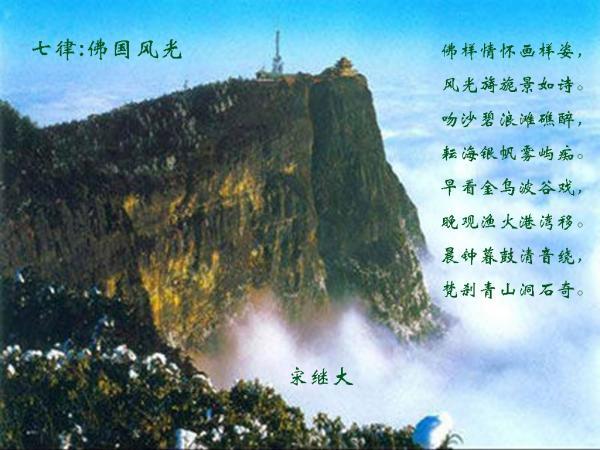僵尸顶顶乐